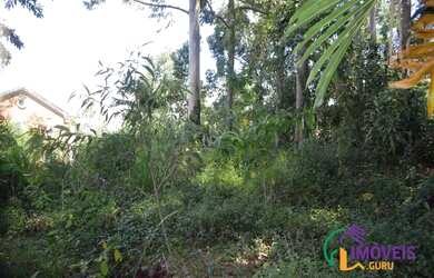 Imagem 5: AREA - MORUMBI - SP