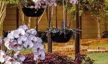 Imagem 6: Vendo agio de lote/terreno com 461 m² no condominio Portal do Sol Noronha