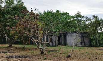 Imagem 5: Chacara no ramal do janauari