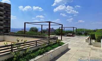 Imagem 5: COMERCIAL - ALTO DA LAPA - SP