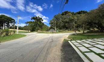 Imagem 4: TERRENO COM 768m² EM CAMPO LARGO