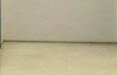 Imagem 6: CONJ. COMERCIAL - BARRA FUNDA - SP