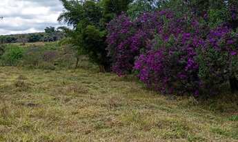 Imagem 3: Terreno em serra azul Mateus leme