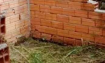 Imagem 4: Lote em Rua Corvina - Barreiro - Mairiporã/SP