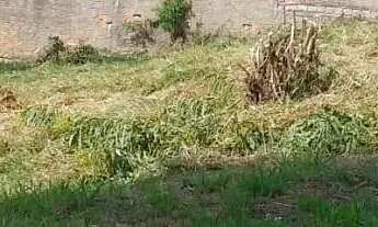 Imagem: TERRENO Jardim América São Leopoldo