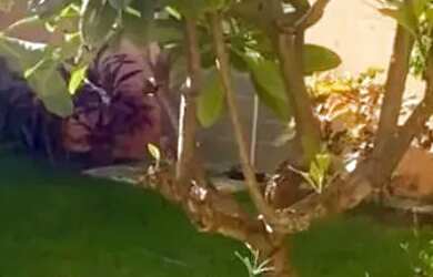 Imagem 6: Casa à venda em rua pública