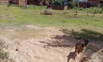 Imagem 3: Lotes de terrenos em praia de zumbi