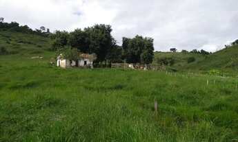 Imagem 2: Sitio 2,5 alqueires