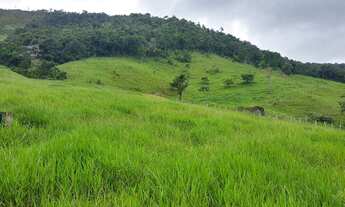 Imagem: Vendo magnífica fazenda para pecuária