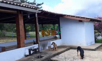 Imagem 3: Sítio 32 ha - Entrada da Sete Curvas, BR060