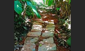 Imagem 5: Fazenda com 42 hectares em bonito/PE a venda