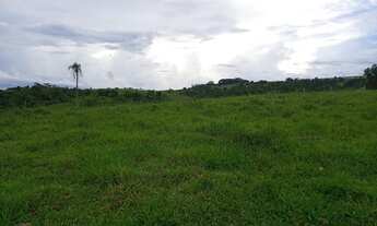 Imagem 5: Fazenda 50 Alqueires, Próximo Itapetininga-Sp