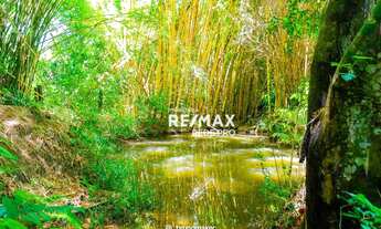 Imagem 5: Chácara para venda com 20.340m2 com plantação de goiabas em Valinhos