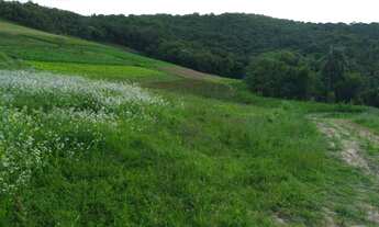 Imagem 4: Lote/Terreno para venda possui 1000 metros quadrados