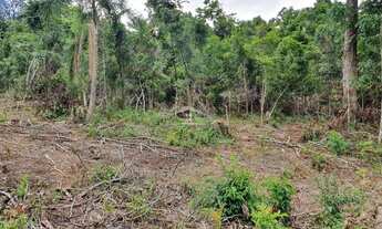 Imagem 2: GRAMADO - Terreno Padrão - Carazal