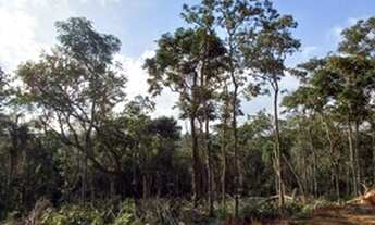 Imagem 3: Oportunidade única 1.000 m2 em Ibiuna BQTNVD
