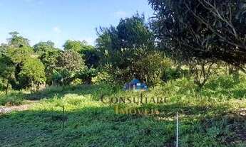 Imagem 2: Belo SÍTIO à venda - Itarassu - Capela do Alto/SP