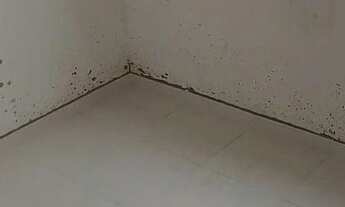 Imagem 5: Apartamento com 2 dormitórios à venda, 46 m² - Jardim Jamaica - Santo André/SP