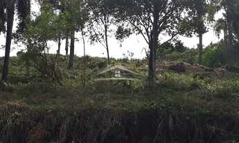 Imagem 5: GRAMADO - Terreno Padrão - Vale das Colinas