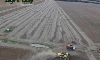 Imagem: Fazenda Com 1360 Alq Localizada no Município