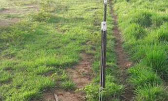 Imagem: 50 alqueires