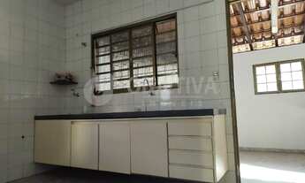 Imagem 6: Aluguel Casa SARAIVA