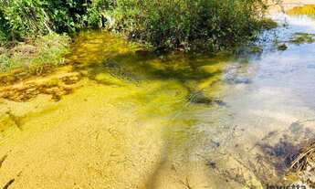 Imagem 5: Fazenda à venda, 2.172 Hectares (448 Alqueires) em Lizarda/TO