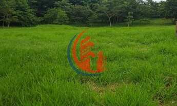 Imagem 4: Terreno Residencial com 150m², Topografia excelente com área verde preservada nos fundos d