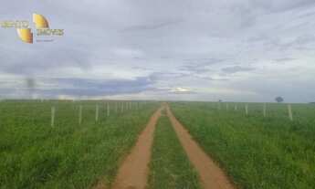 Imagem: Fazenda na região Santiago do Norte à