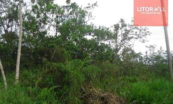 Imagem 2: Área residencial à venda, Cidade Jardim Coronel, Itanhaém - AR0013