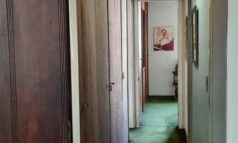 Imagem 6: Leblon - Selva de Pedra