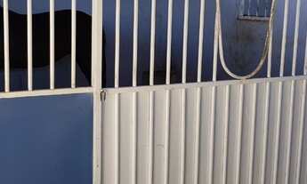 Imagem 5: HARAS MUNICIPIO DE NIQUELANDIA