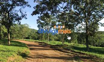 Imagem 14: Fazenda a venda de 68 alqueires para pecuária na região de Caldas Novas GO