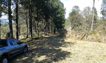 Imagem 7: Fazenda/Sítio/Chácara para venda com 83000 metros quadrados com 2 quartos