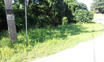 Imagem 5: Terreno para Venda em Quatro Barras, Jardim Orestes Thá