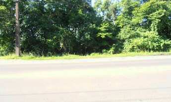 Imagem 2: Terreno para Venda em Quatro Barras, Jardim Orestes Thá