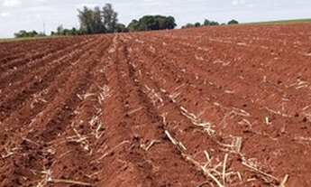 Imagem 4: Fazenda 35 Alqueires, Próximo Limeira-Sp