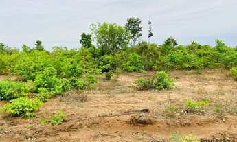 Imagem 3: Fazenda à venda 3.900 Hectares em Colinas/TO