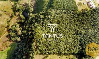 Imagem 6: Área à venda, 76040 m² por R$ 1.700.000,00 - Mato Dentro - Almirante Tamandaré/PR