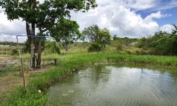 Imagem 4: Vendo sitio com 25.000m² Próximo linha verde