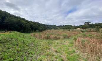 Imagem 2: Área para formar chácara com 23.000m² Almirante Tamandaré - Juruqui