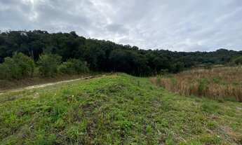 Imagem 3: Área para formar chácara com 23.000m² Almirante Tamandaré - Juruqui