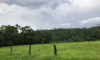 Imagem 7: Sítio 80 Alqueires Ji - Paraná