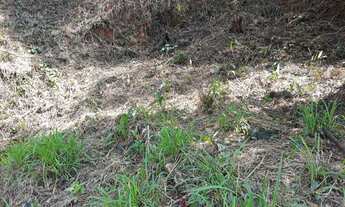 Imagem 2: Terreno à venda, 495 m² por R$ 130.000,00 - Parque Dom João VI - Nova Friburgo/RJ