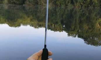 Imagem: Área no Manso