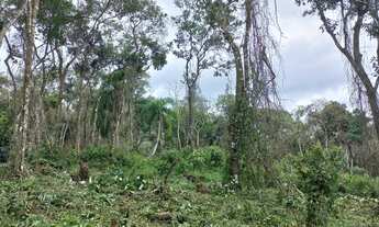 Imagem: Oportunidade! Terreno a venda na cidade