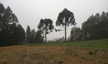 Imagem 6: Sítio de 2.6 hectares em Gramado com Vísta