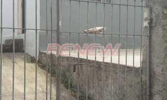 Imagem: Casa para aluguel, 2 quartos, 2 vagas, Jardim