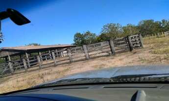 Imagem 3: OTIMA FAZENDA EM CAPOS DE JULIO