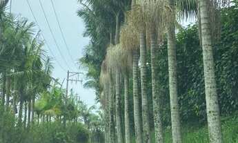 Imagem: Terrenos com infraestrutura inclusa